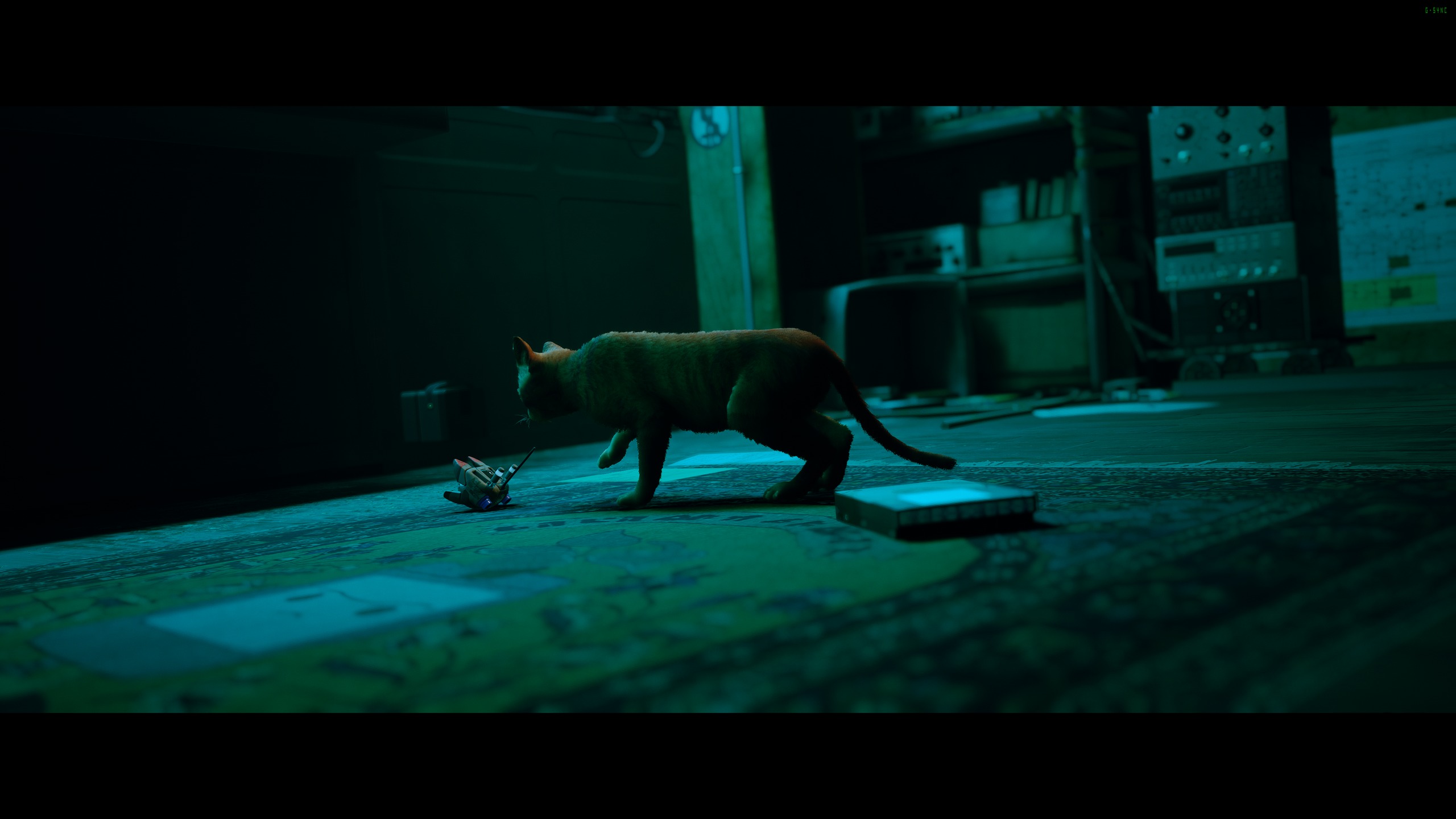 Stray — screenshot 1
