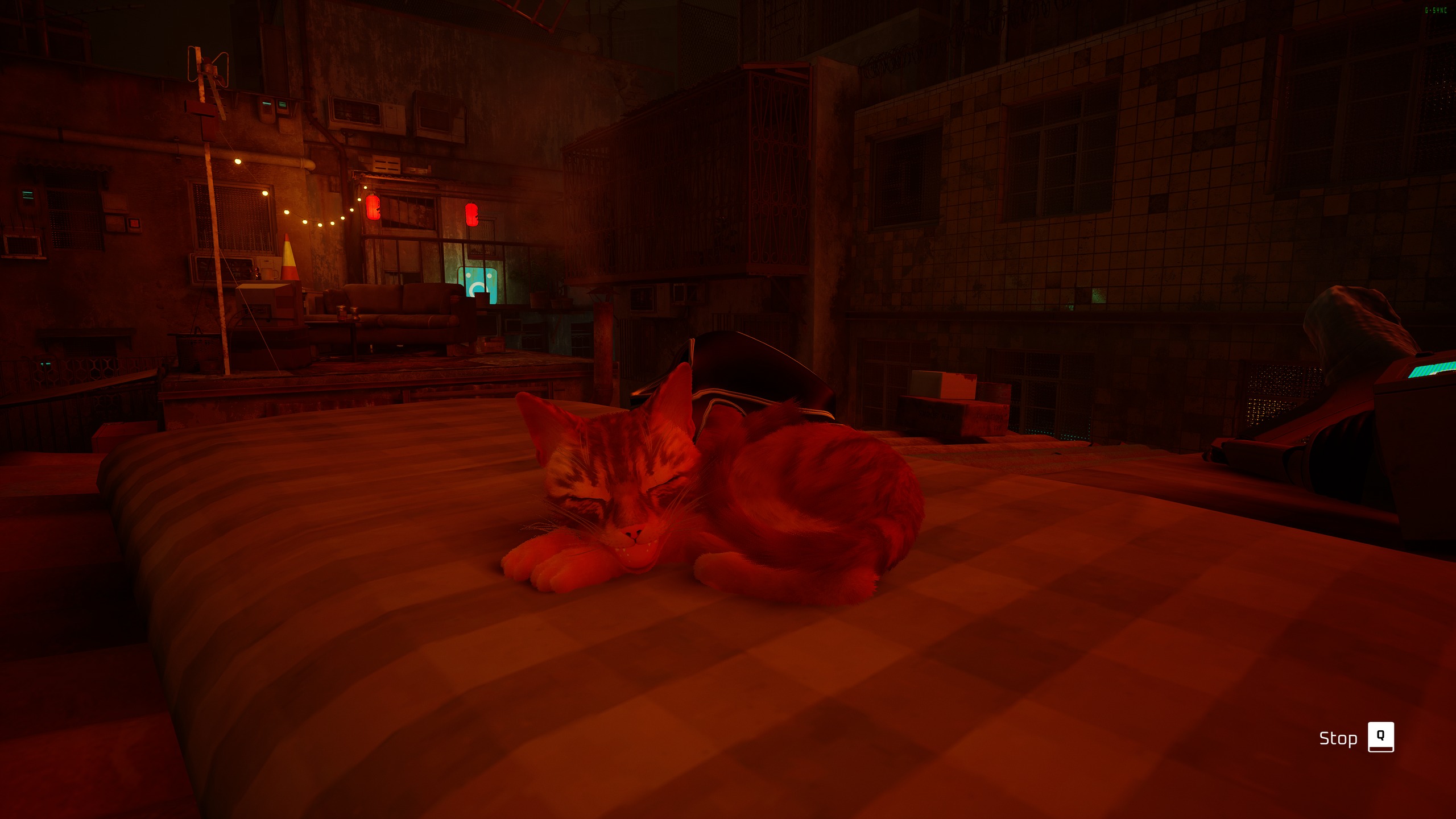 Stray — screenshot 10