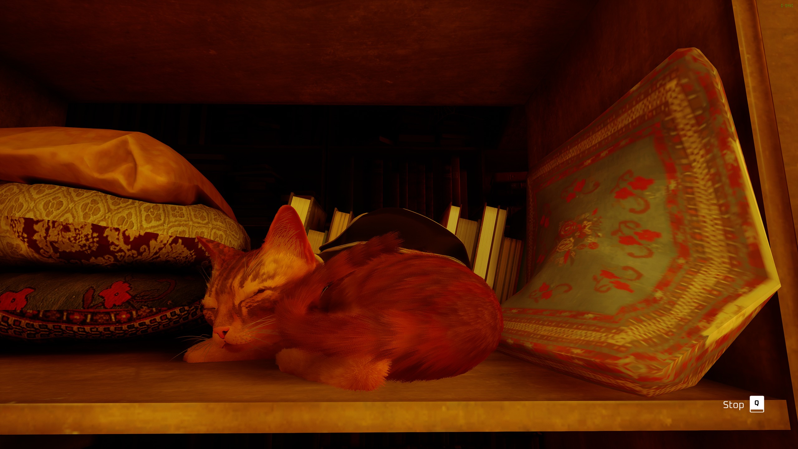 Stray — screenshot 12