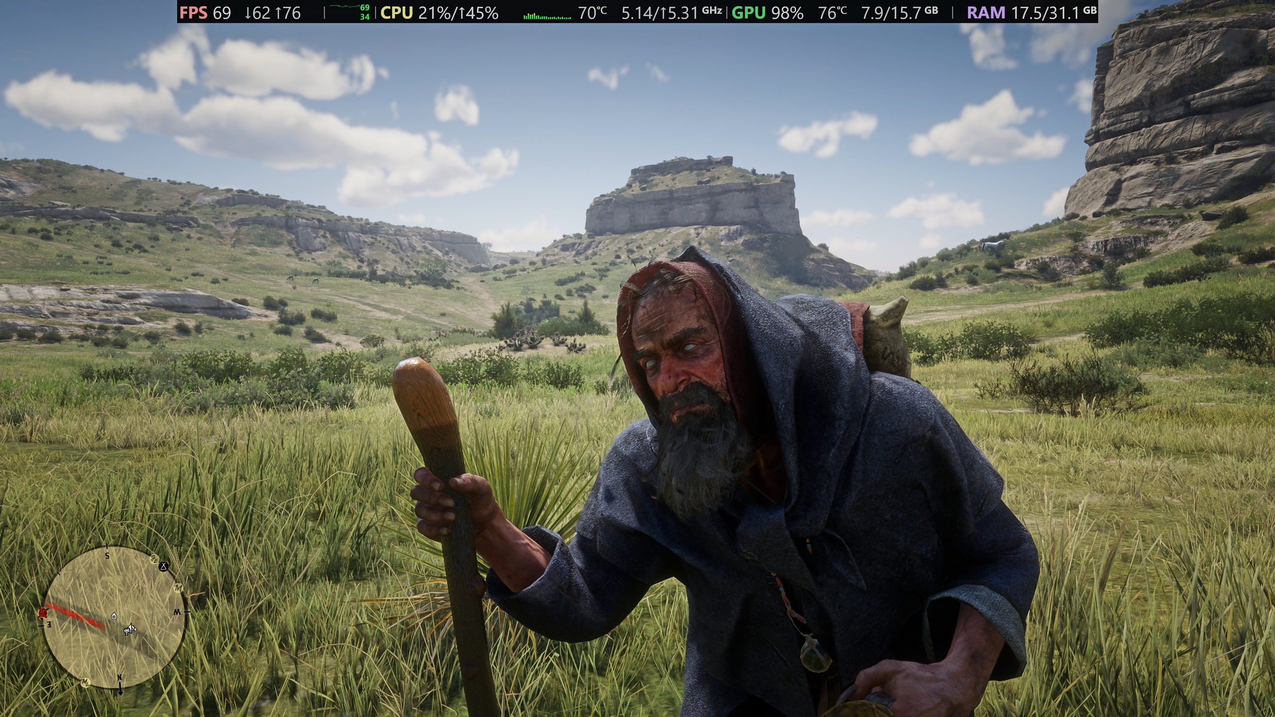 Red Dead Redemption 2 — capture 22