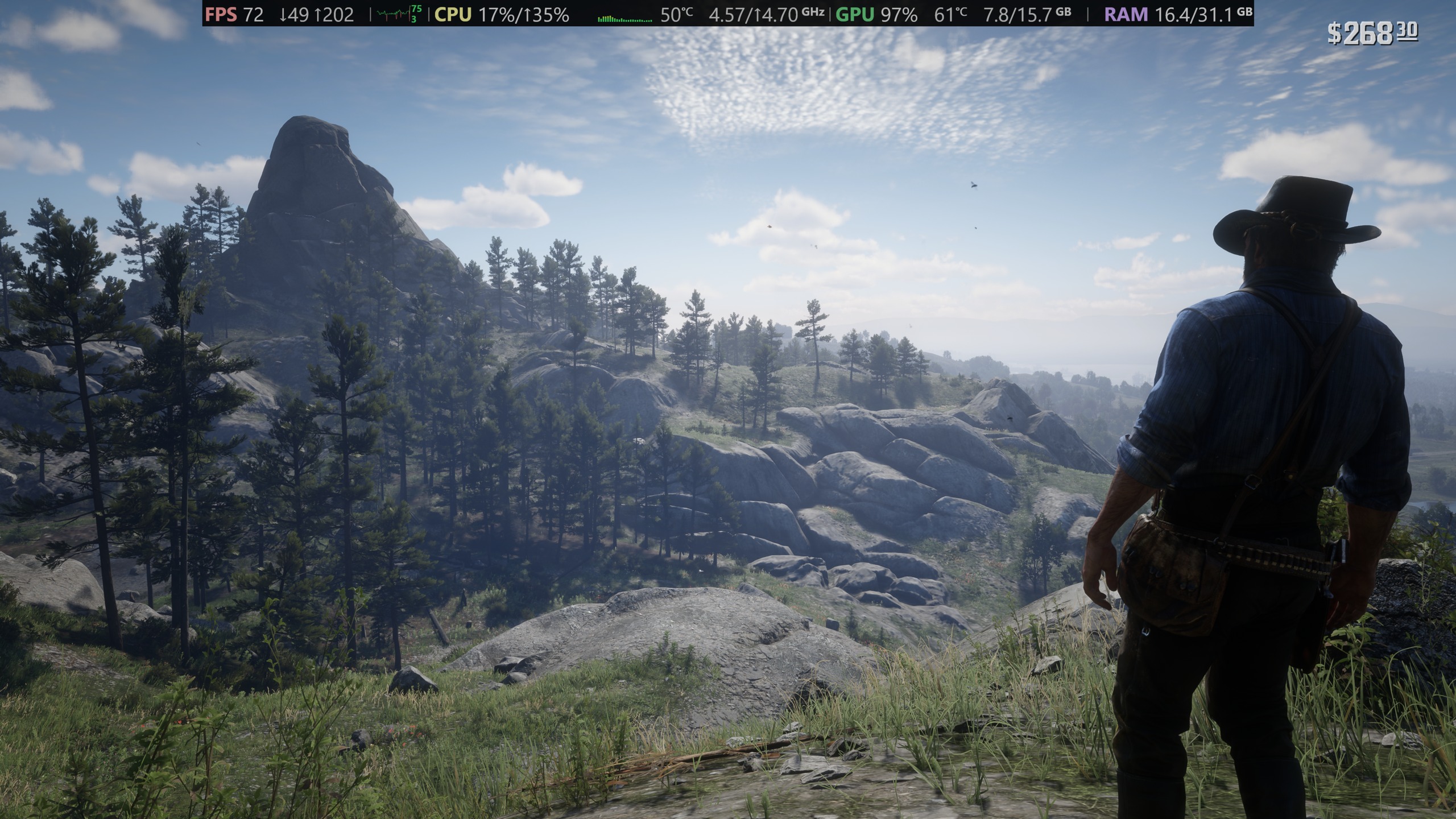 Red Dead Redemption 2 — capture 30