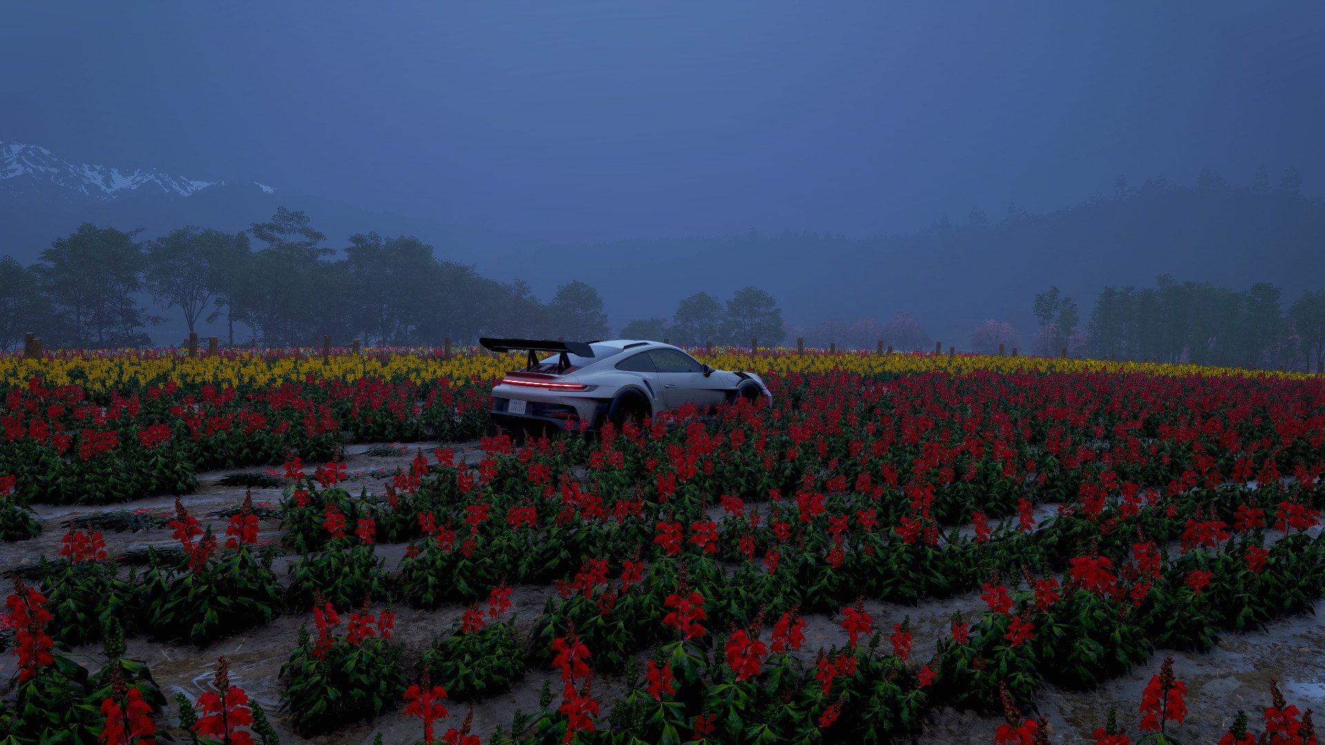 Forza Horizon 6 — capture 84