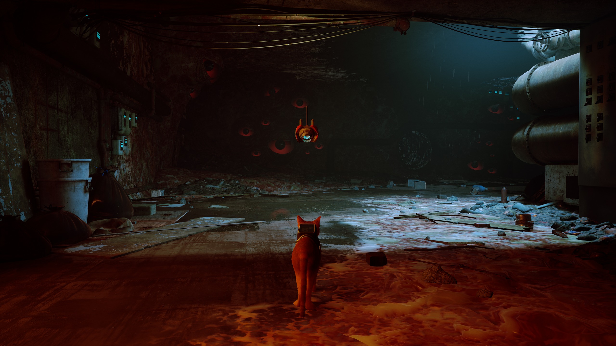 Stray — capture 33