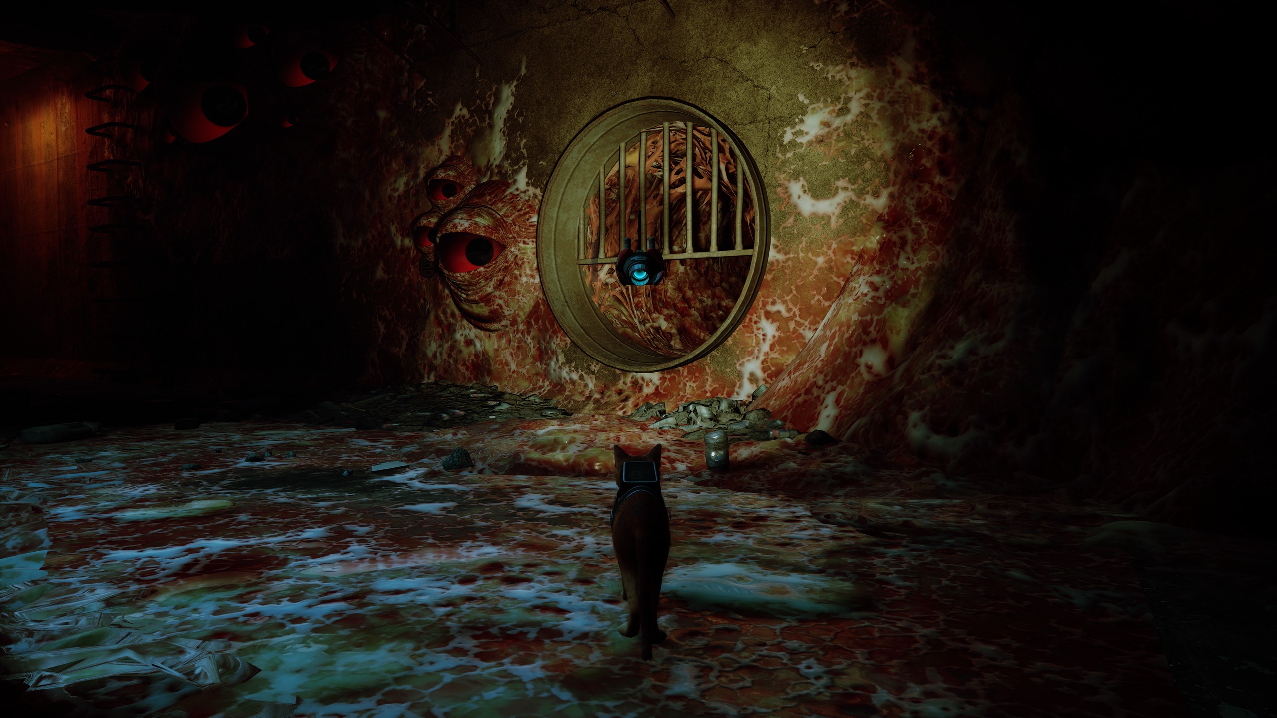Stray — capture 34