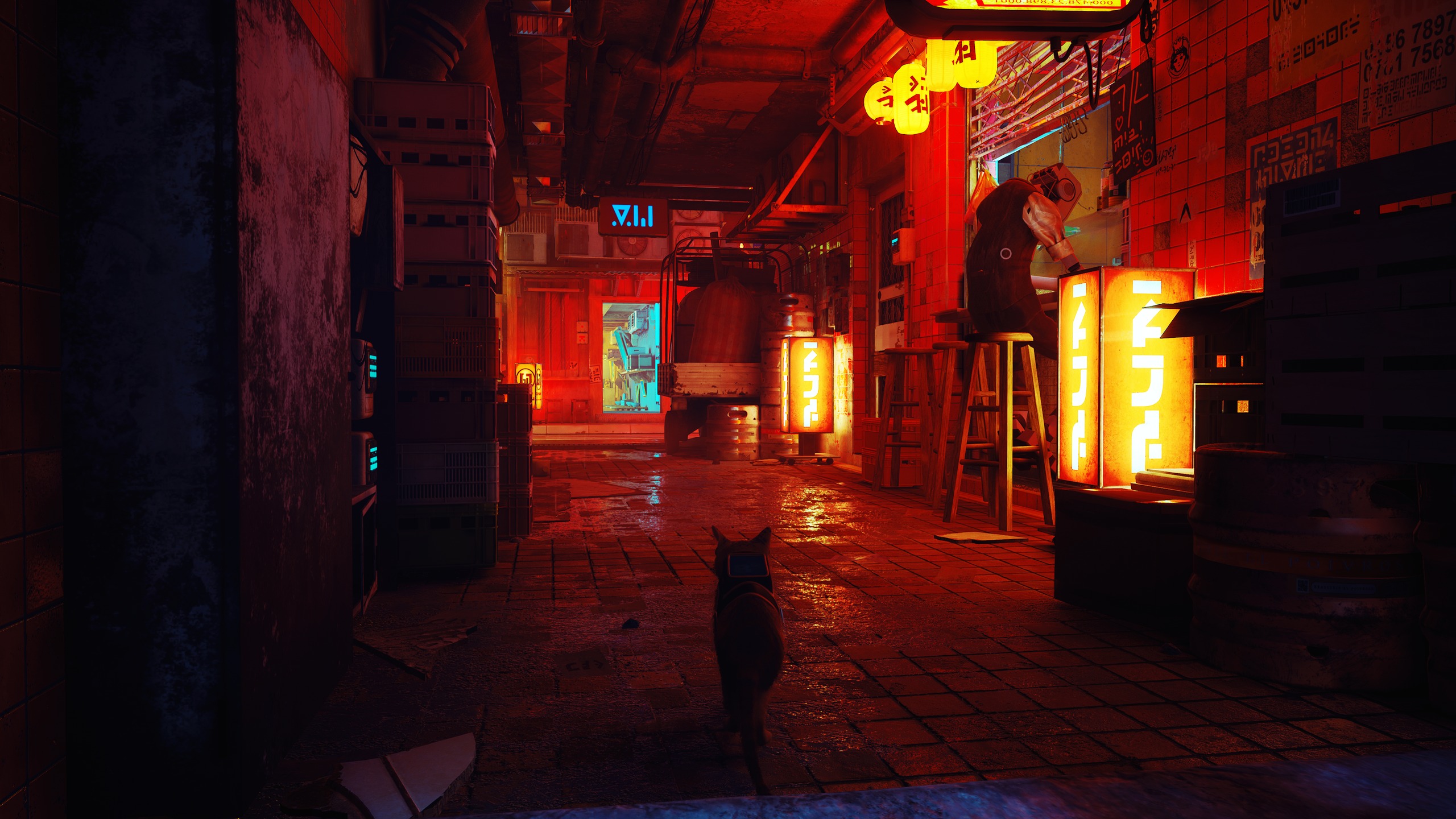Stray — capture 44